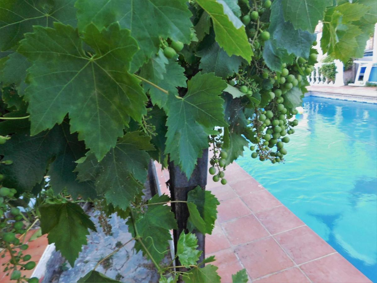 Bungalow Marbella Apartament Marbella