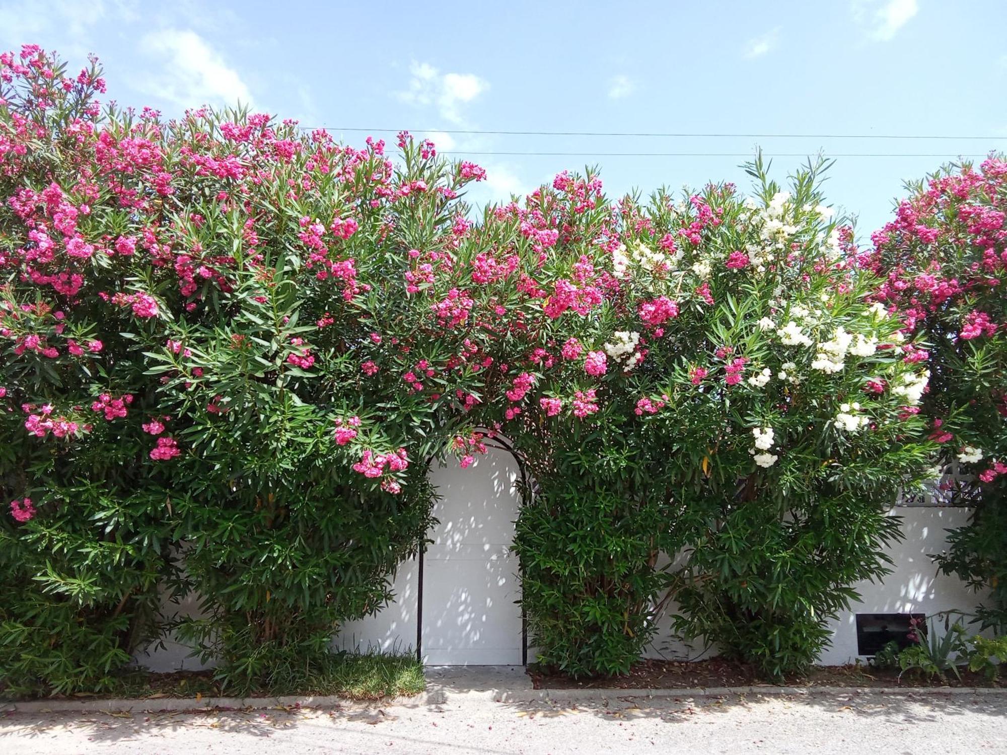 Apartament Bungalow Marbella Marbella